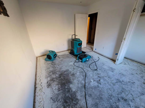 Best 24/7 water damage repair  in Tahlequah, OK