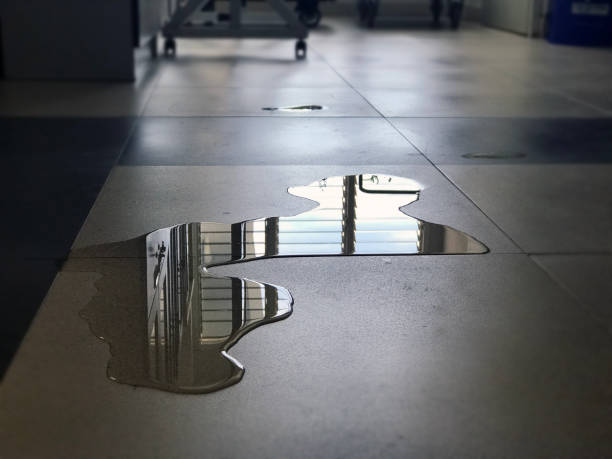 Best Professional water damage repair  in Tahlequah, OK