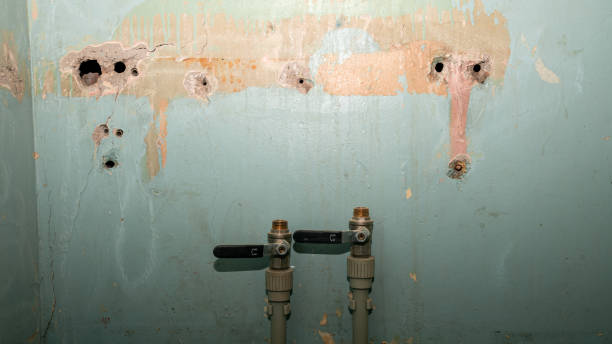 Best Water damage restoration process  in Tahlequah, OK