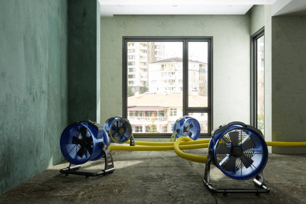 Trusted OK Water damage restoration Experts